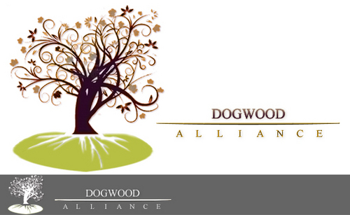 Dogwood Alliance 15th Anniversary Graphic - Environment