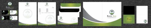 Black Tree Developments Ltd Stationary - Construction