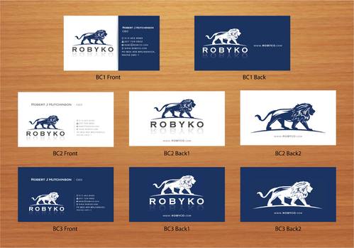 ROBYKO Stationary and Biz Card design - Financial Services