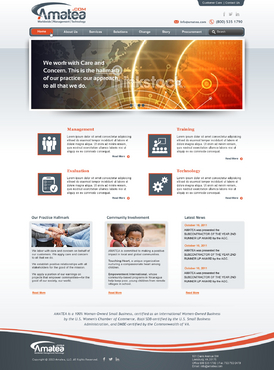 Amatea, LLC website design - Consulting