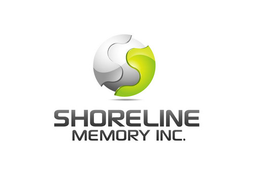 Eye catching logo for digital memory manufacturer - Computers
