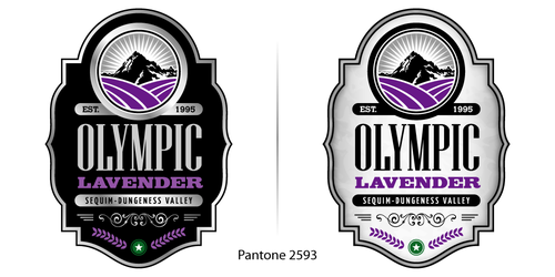 WOW FACTOR! modern or art deco/retro logo/label for bottle products and print - Salon & Spa