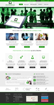 Enterpryze Consulting Complete Web Design Solution Winning Design by FuturisticDesign