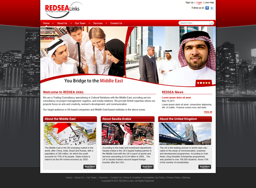 Website Design for Trading Consultancy - Consulting
