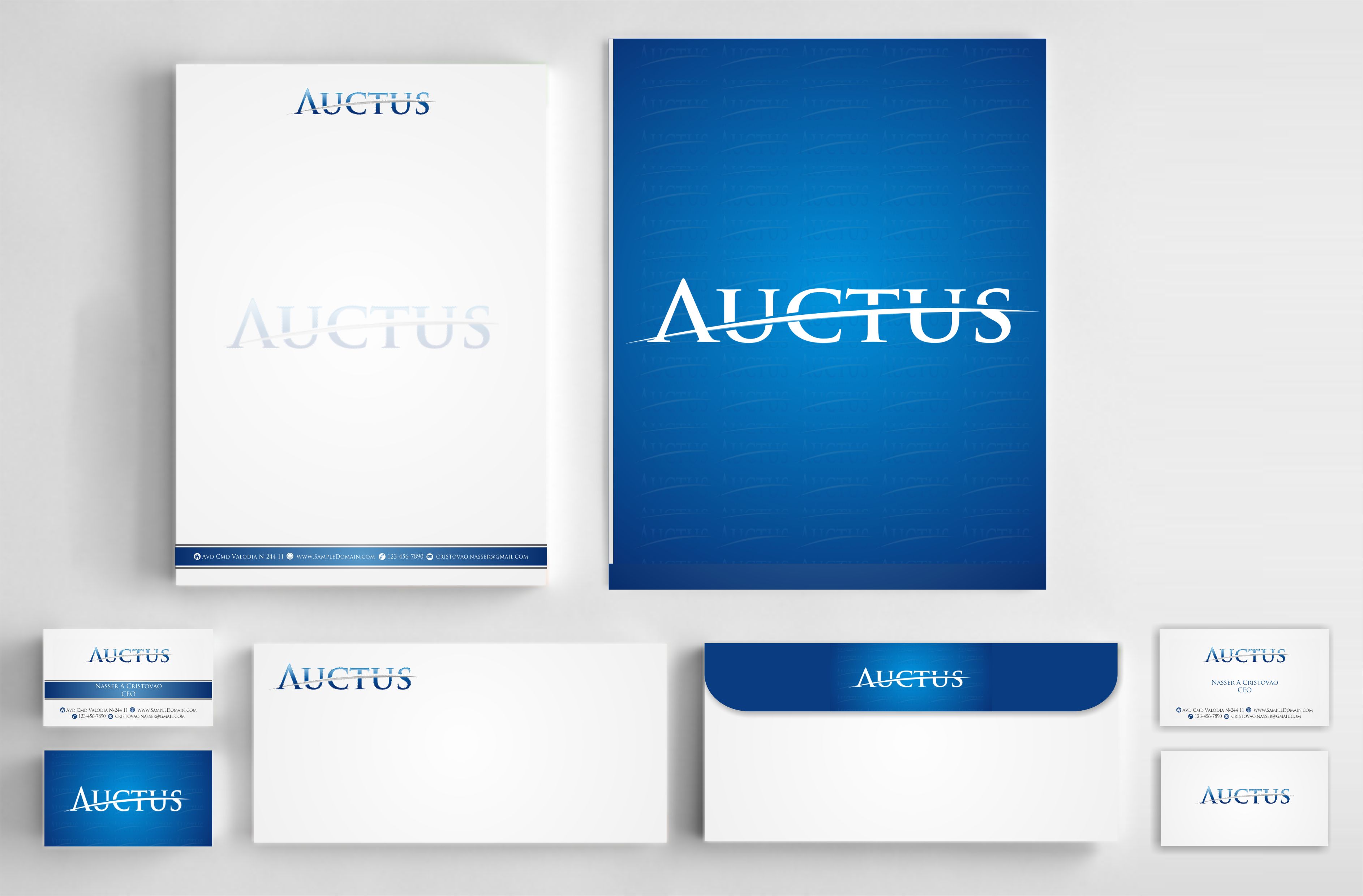 Auctus - Business Opportunities