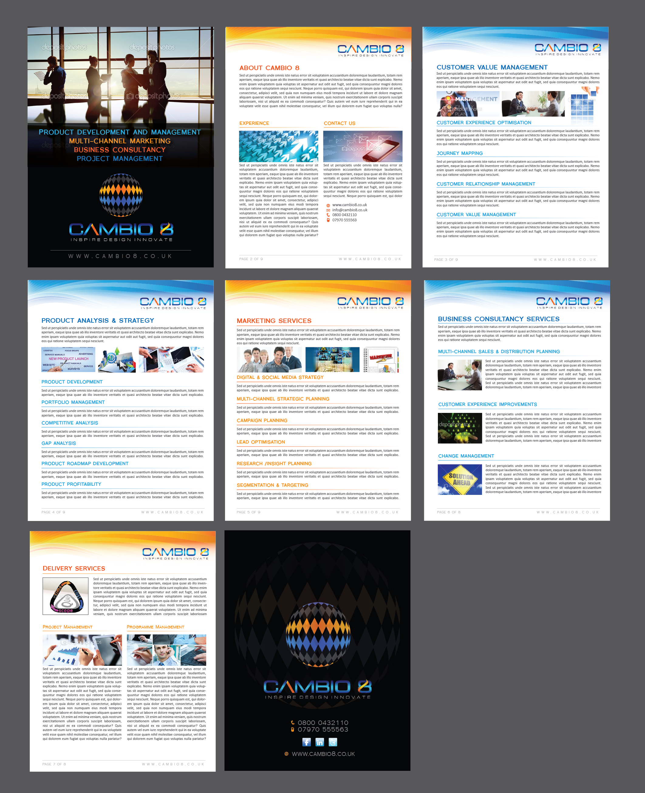 Brochure (online and printed) for a business consultancy - Consulting