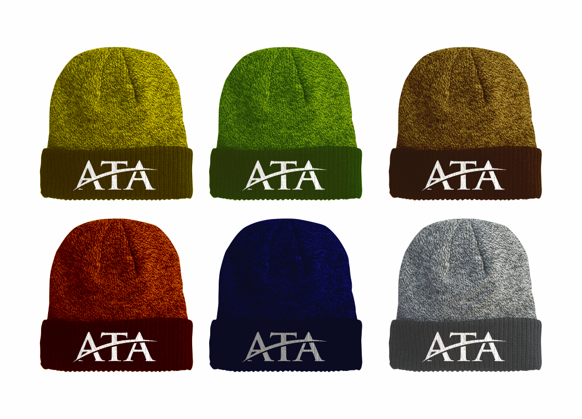 ATA Financial Services, Inc - Financial Services