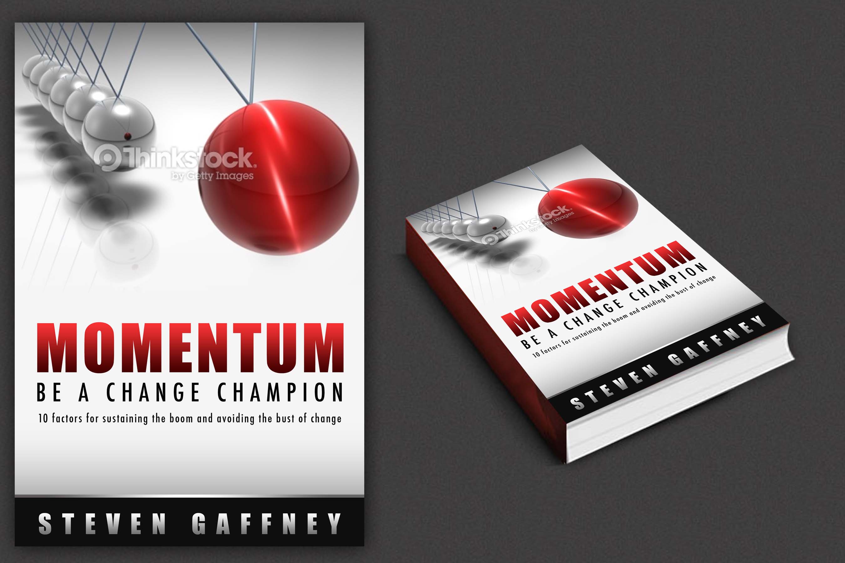 Book Cover for Steven Gaffney - Consulting