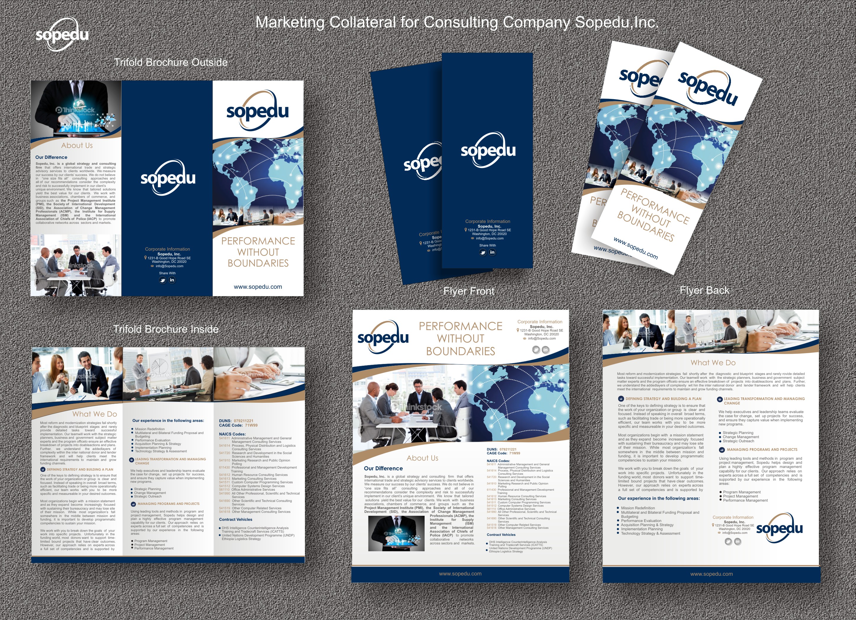Marketing collateral for consulting company - Consulting