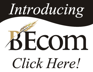 BEcom Ad - Advertising