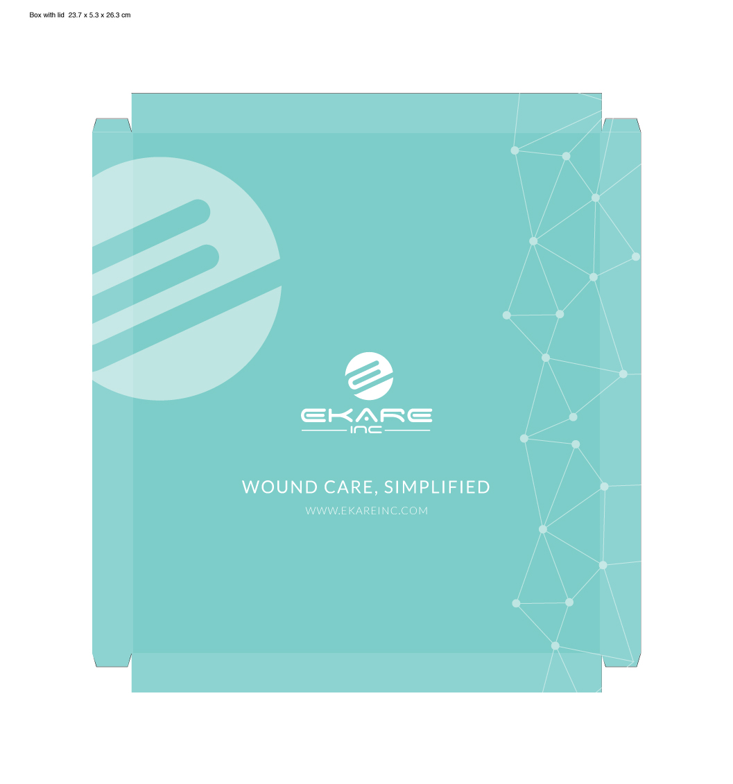 eKare Inc: Product Packaging - Biomedicine