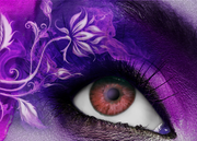 Art Desgn for a Boutique Hotel in Costa Rica