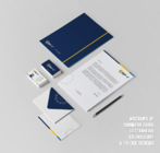 CSP-F solar collectors