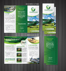 RTW Marketing Collateral