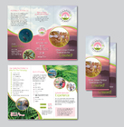 Luxury Pop up Camping Experience Brochure