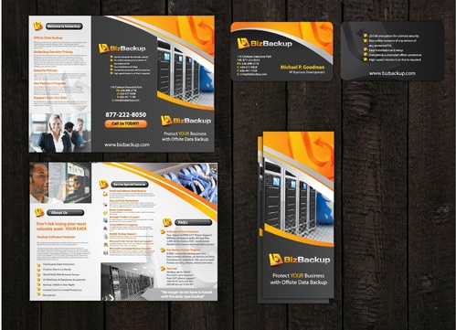 Business Cards, 2 Trifold Brochures - Information Technology