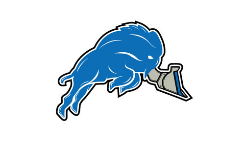 Fantasy Football Team Logo - Sports