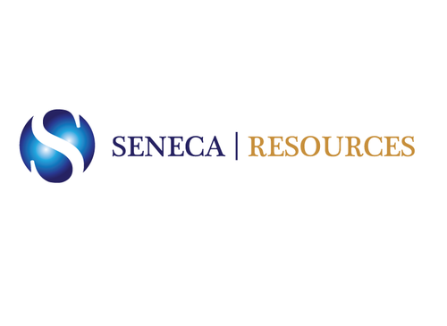 Business Logo - Consulting