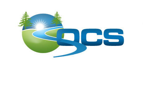 Business logo - company name is "Onstead Counseling Services" but only want initials on the logo - Health