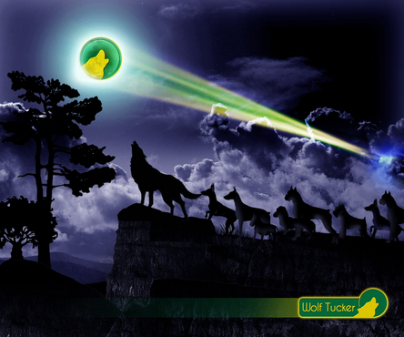 Illustration for WolfTucker company launch - Animals