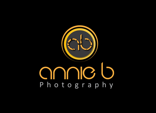 A business logo for my company - Annie B Photography - Photography