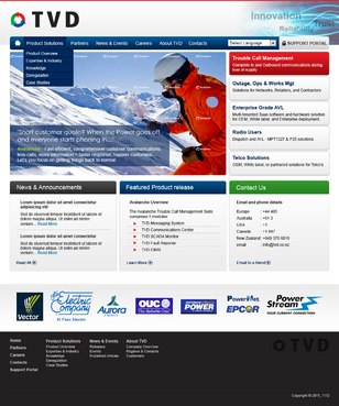 Website refresh! Software products and services. - Information Technology