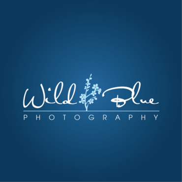 Photographer Logo - Photography