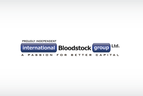 A Business Logo for International Bloodstock Group Ltd. - 