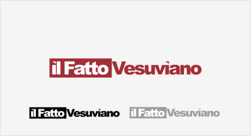 Il Fatto Vesuviano - News and Media