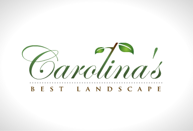 76b9ad50d2dae1899317e41f0da8da3f1876698