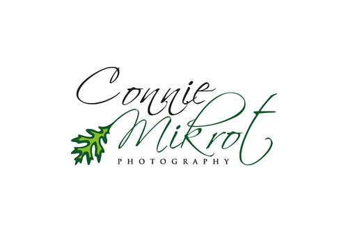 Connie Mikrot Logo design - Photography