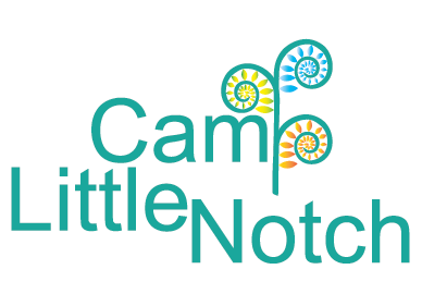 Camp Little Notch Logo Design - Children