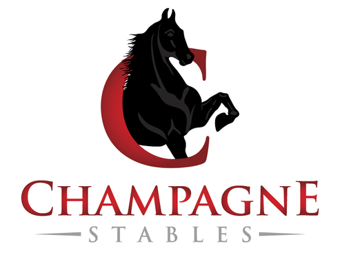 Business Logo-Champagne Stables - Animals