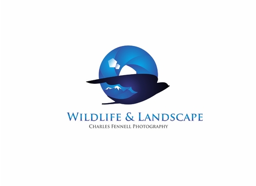 wildlifeandlandscape.co.uk - Photography