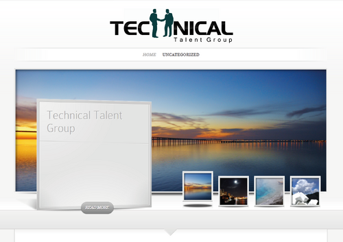 Technical Talent Group- Recruiting Firm - Employment