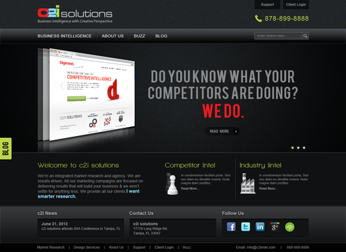Sleek Website for Market Research Company-c2i solutions - Information
