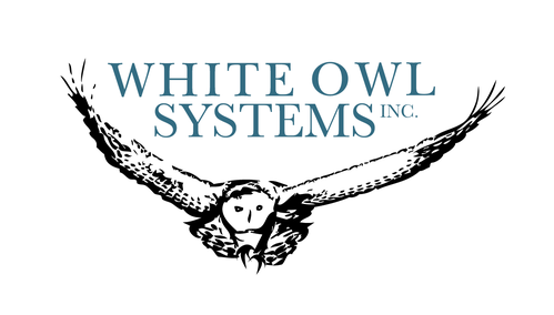 LOGO FOR WHITE OWL SYSTEMS, INC. - Consulting