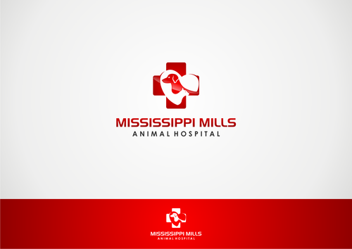 Mississippi Mills Animal Hospital - Animals
