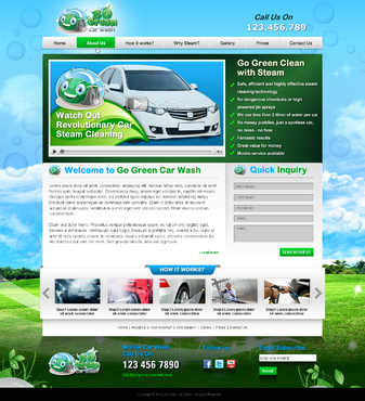 Website for a steam car wash company - Cleaning