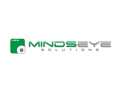 Mindseye Logo Redesign - Software