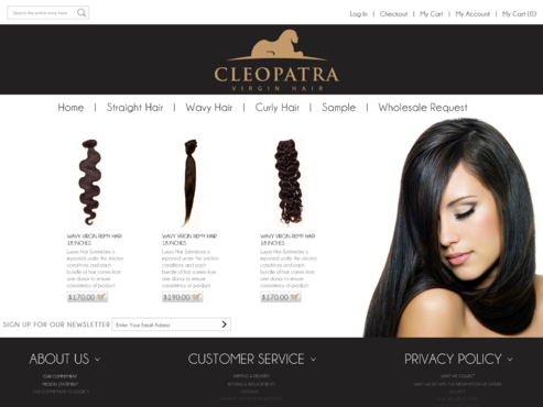 Webdesign for Hair Company - Salon & Spa
