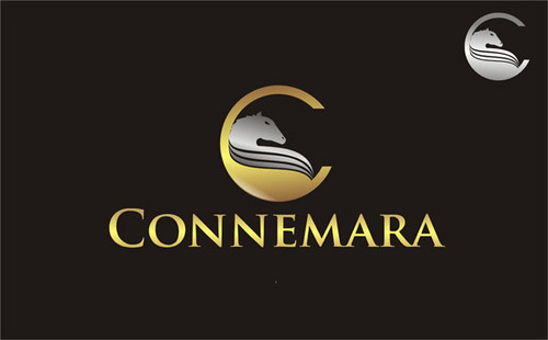 Connemara Horse Logo - Publishing