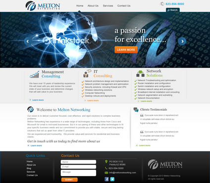 Website for Management / IT Consulting Company - Consulting