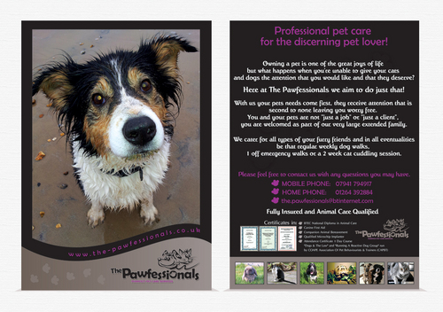 Flyer design for established pet care company - Animals