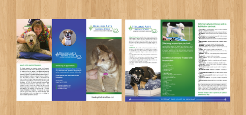 Brochure for Veterinary Acupuncture and Physical Therapy - Animals