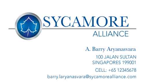 Business Card for Investment Holding Company - Consulting