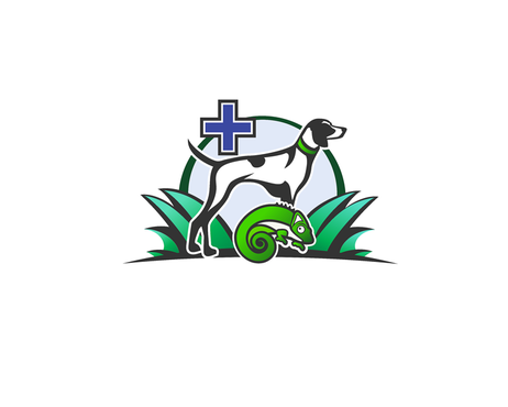 Unique and modern logo for a exotic veterinarian! - Animals