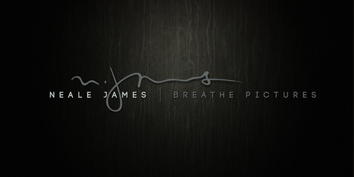 High end wedding photography logo project - Photography