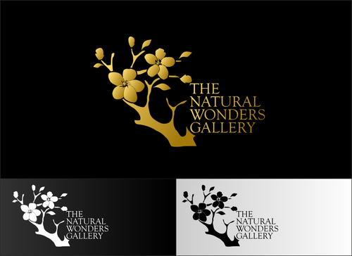 las Vegas Gallery - Photography