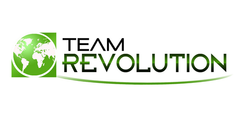 Team ReVolution - Business Opportunities